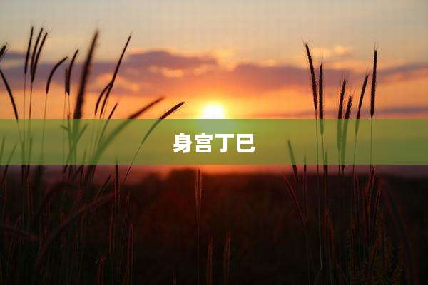 身宫丁巳