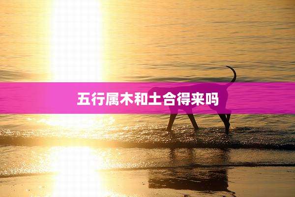 五行属木和土合得来吗