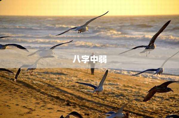 八字中弱