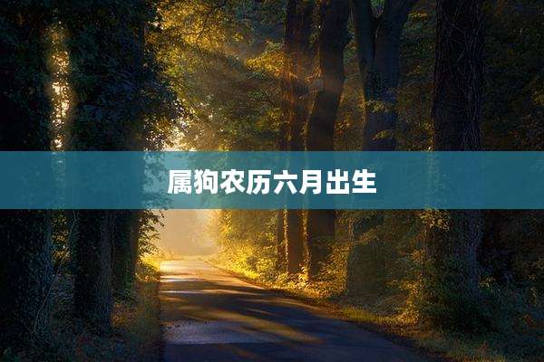 属狗农历六月出生