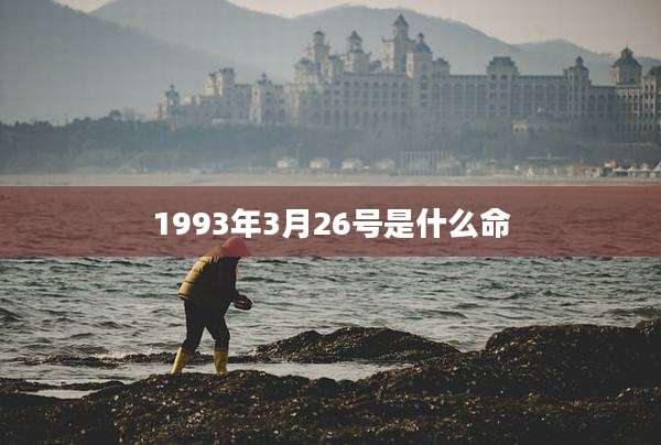 1993年3月26号是什么命