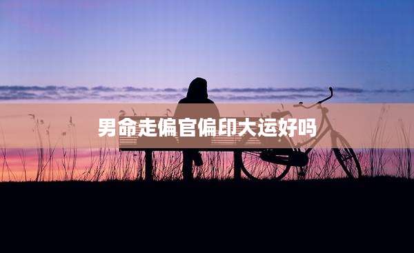 男命走偏官偏印大运好吗