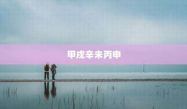 甲戌辛未丙申