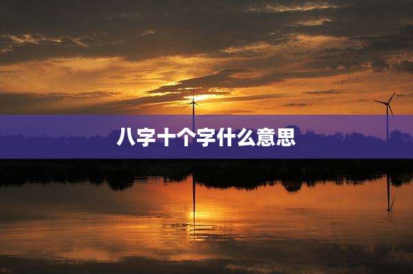 八字十个字什么意思