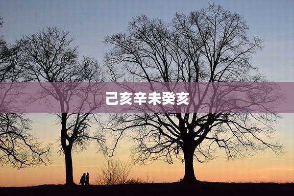 己亥辛未癸亥