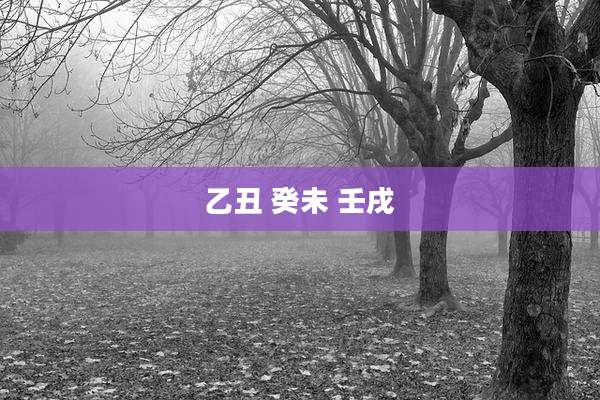 乙丑 癸未 壬戌