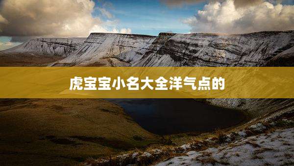 虎宝宝小名大全洋气点的