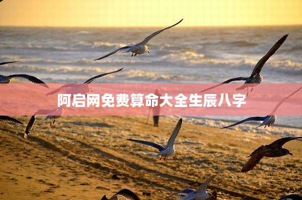 阿启网免费算命大全生辰八字