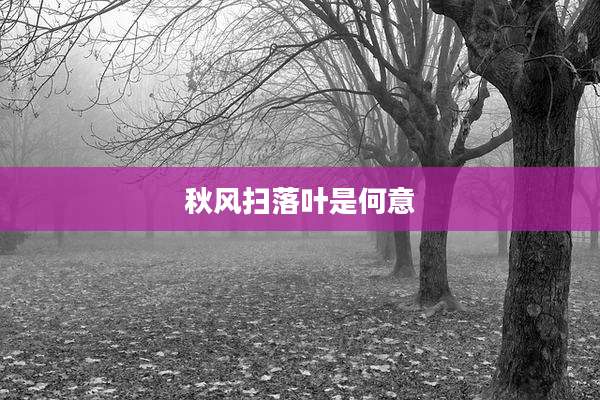 秋风扫落叶是何意