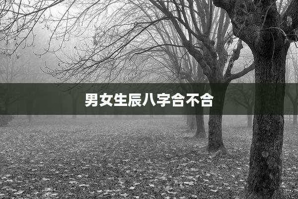 男女生辰八字合不合