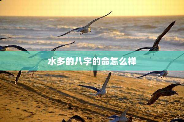 水多的八字的命怎么样