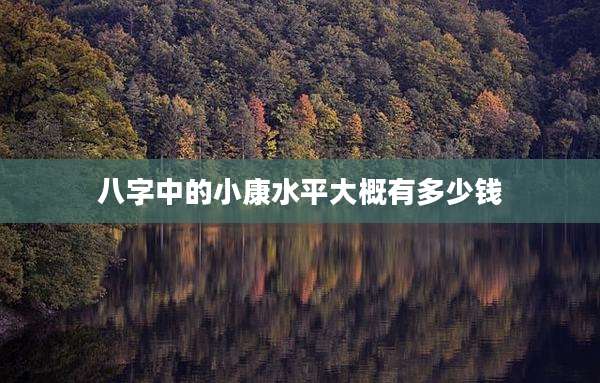 八字中的小康水平大概有多少钱