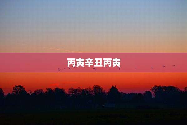 丙寅辛丑丙寅