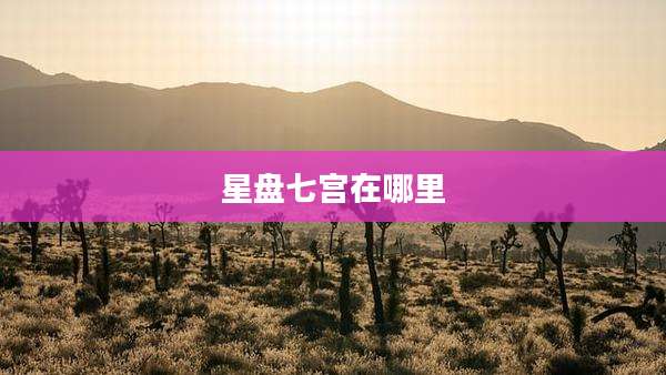星盘七宫在哪里