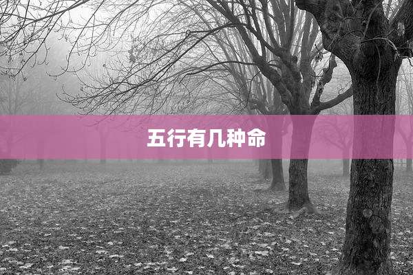 五行有几种命