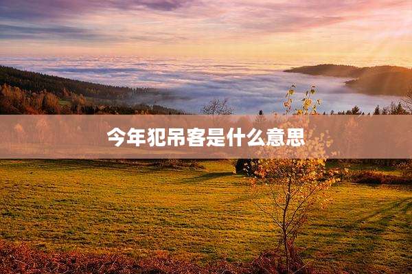 今年犯吊客是什么意思