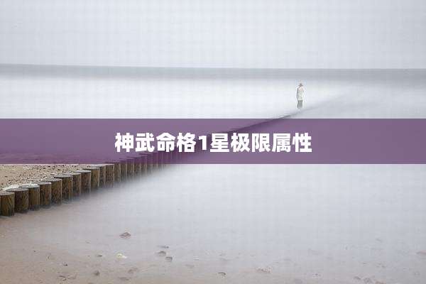 神武命格1星极限属性