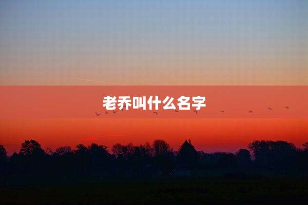 老乔叫什么名字