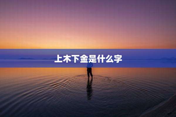 上木下金是什么字