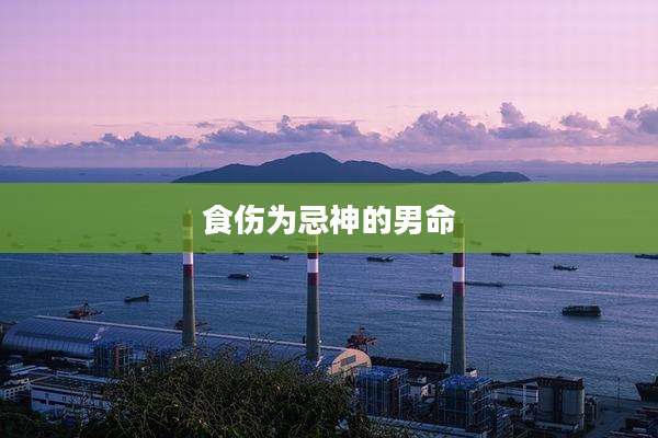 食伤为忌神的男命