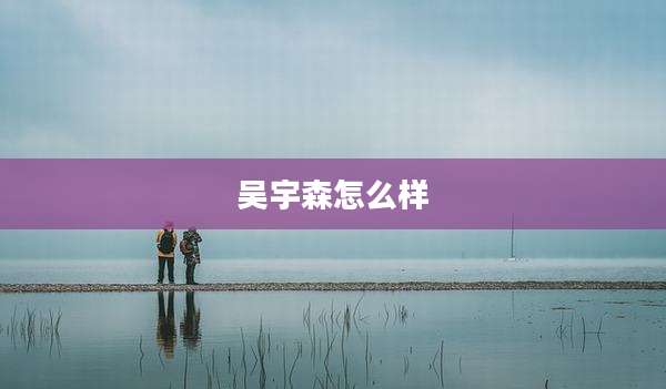 吴宇森怎么样