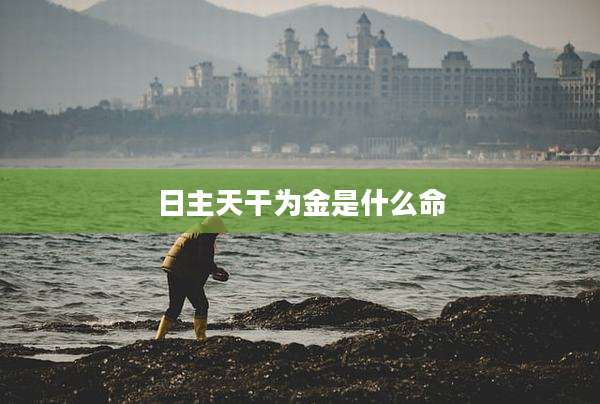 日主天干为金是什么命