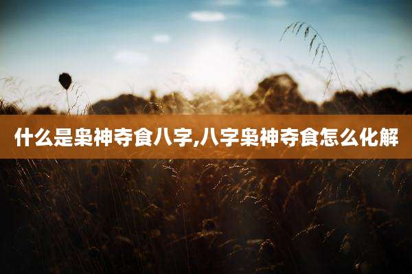 什么是枭神夺食八字,八字枭神夺食怎么化解