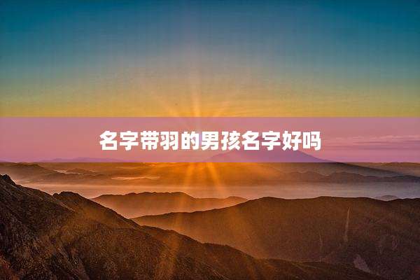 名字带羽的男孩名字好吗