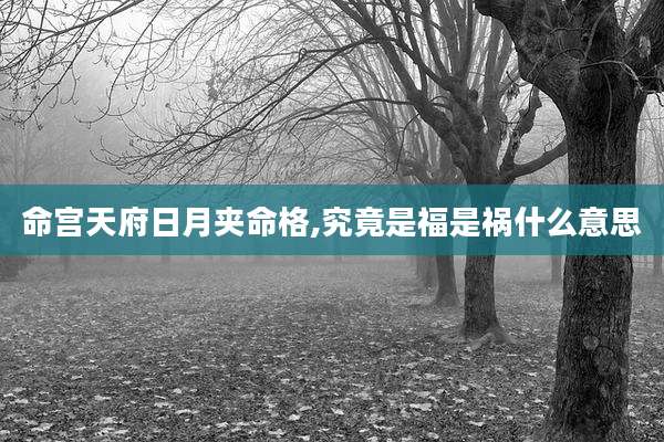 命宫天府日月夹命格,究竟是福是祸什么意思
