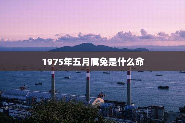1975年五月属兔是什么命