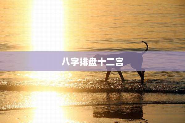 八字排盘十二宫