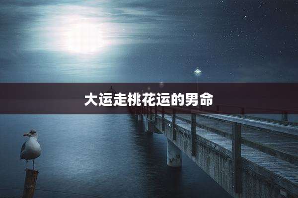 大运走桃花运的男命
