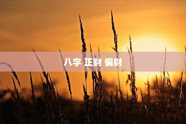 八字 正财 偏财