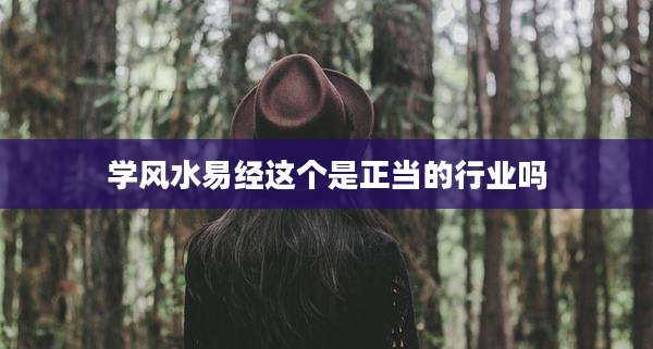 学风水易经这个是正当的行业吗