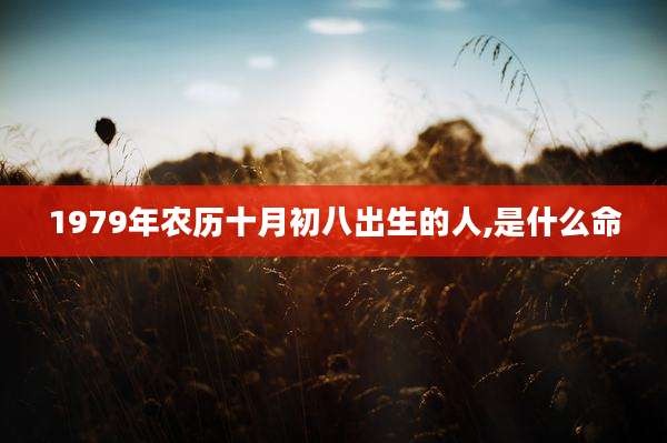 1979年农历十月初八出生的人,是什么命