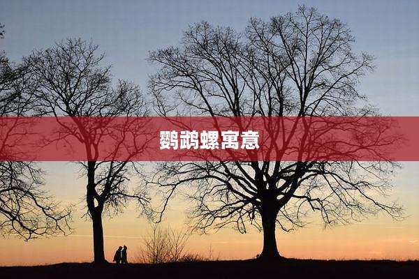 鹦鹉螺寓意