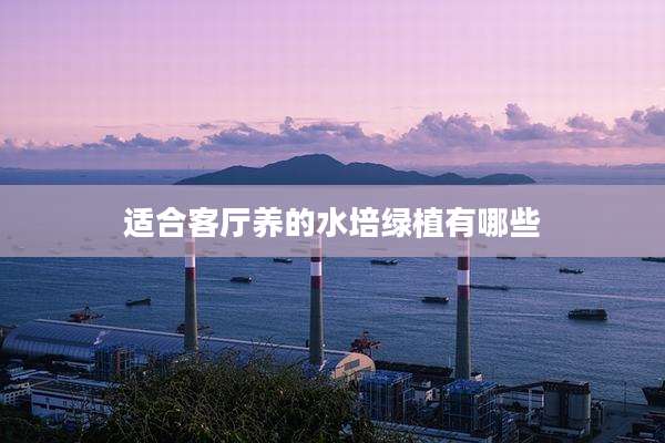 适合客厅养的水培绿植有哪些