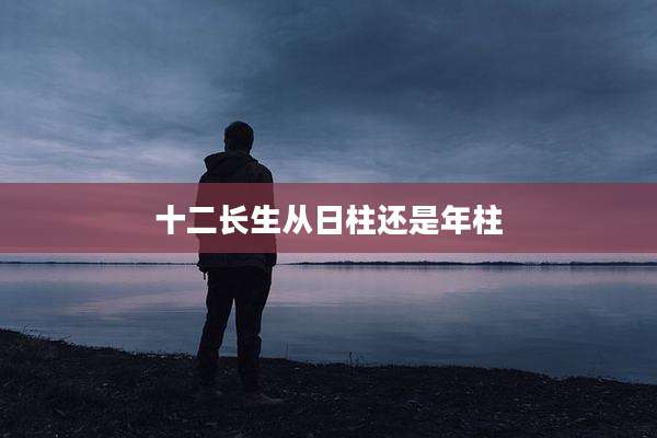 十二长生从日柱还是年柱