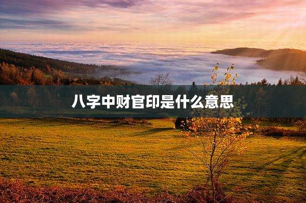 八字中财官印是什么意思