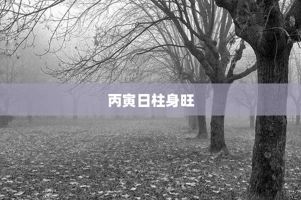 丙寅日柱身旺