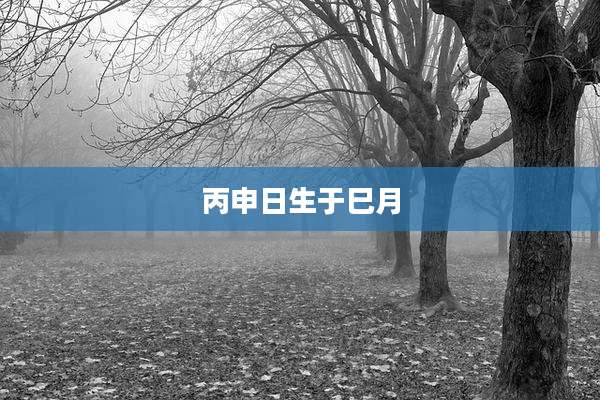 丙申日生于巳月
