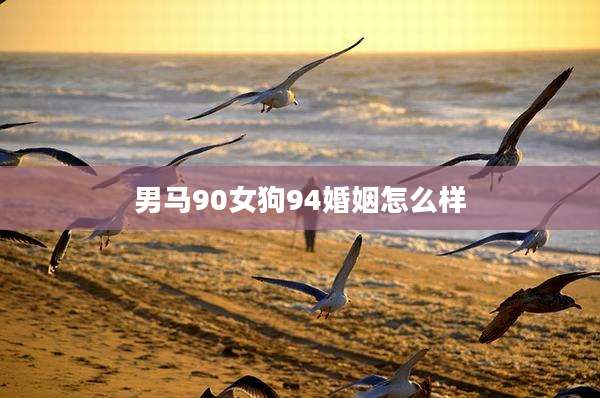 男马90女狗94婚姻怎么样
