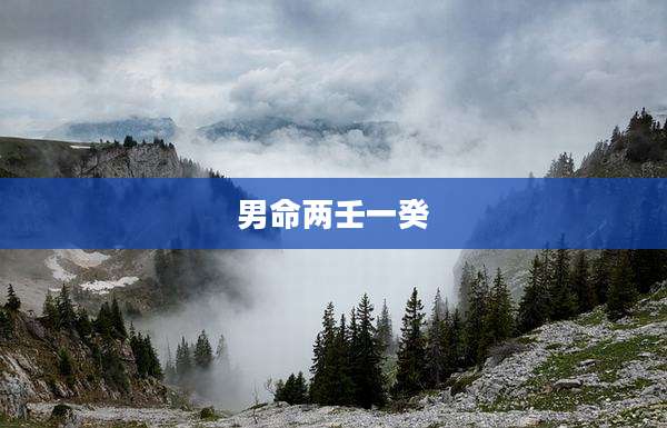 男命两壬一癸