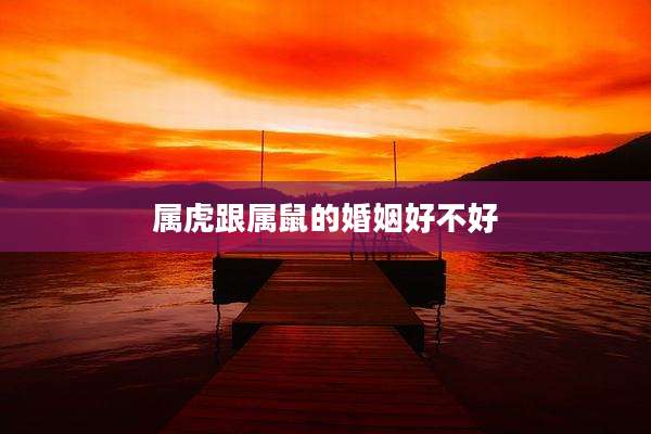 属虎跟属鼠的婚姻好不好