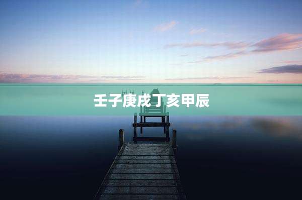 壬子庚戌丁亥甲辰