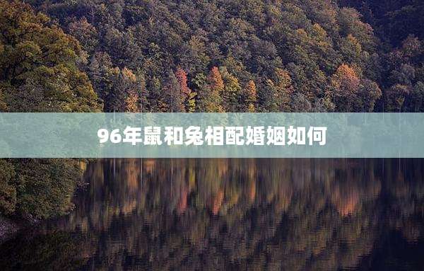 96年鼠和兔相配婚姻如何