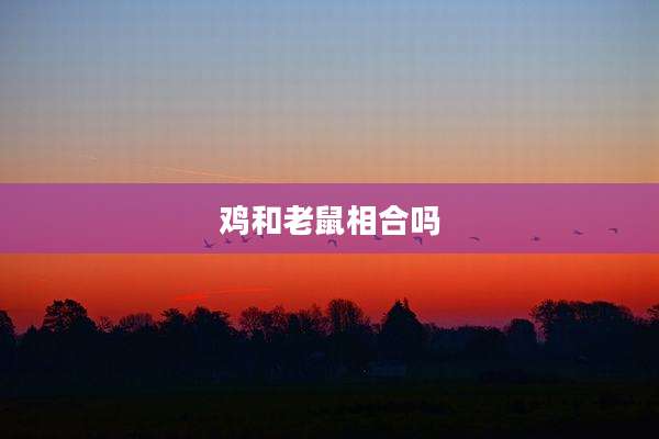 鸡和老鼠相合吗
