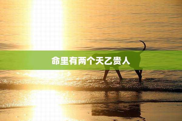 命里有两个天乙贵人