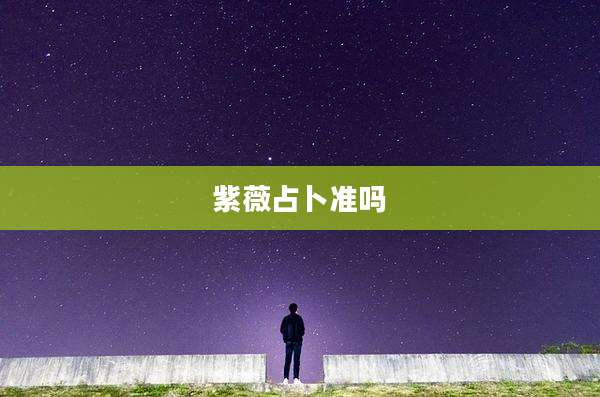 紫薇占卜准吗