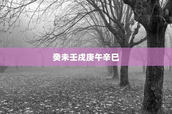 癸未壬戌庚午辛巳